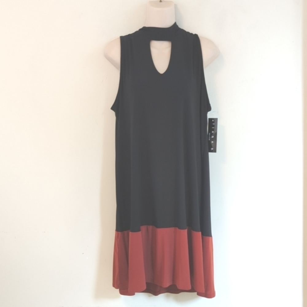 Tiana B. Color Block Sleeveless Dress